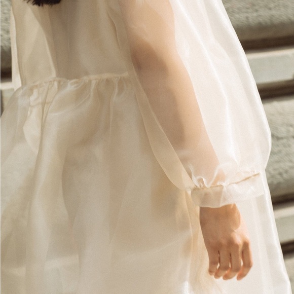 et tigre Dresses & Skirts - et tigre organza dress